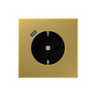 Jung - LS RANGE Wandcontactdoos (WCD schakelmat.) Wcd+Lad Messing Klas C