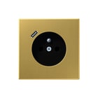 Jung - LS RANGE Wandcontactdoos (WCD schakelmat.) wcd pen+lad mess.klass.c