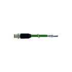 MURR - Patchkabel twisted pair v industrie m12 2x2xawg22 sh grn 60m