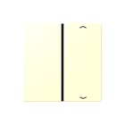 Jung - LS RANGE Bed.element / centr.pl. schakelmat. knx afd f40 1v pl lc32001