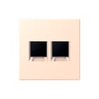 Jung - LS RANGE Inzetplaat schakelmateriaal afd 2v amp lc32091