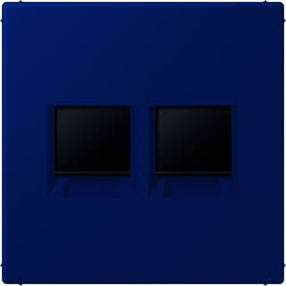 Jung - LS RANGE Inzetplaat schakelmateriaal afd 2v amp lc4320t