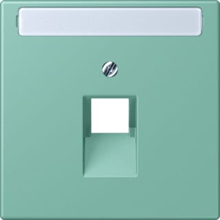 Jung - LS RANGE Inzetplaat schakelmateriaal afd 1v tekstv uae lc32041