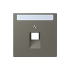 Jung - LS RANGE Inzetplaat schakelmateriaal afd 1v tekstv uae lc32141