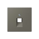 Jung - LS RANGE Inzetplaat schakelmateriaal afd 1voudig uae lc32141