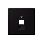 Jung - LS RANGE Inzetplaat schakelmateriaal afd 1voudig tbv uae 4320j