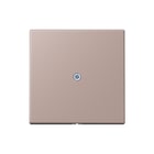 Jung - LS RANGE Inzetplaat schakelmateriaal kabinv trekontl lc32131
