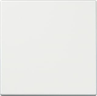 Jung - LS RANGE Zender/AB v draadloos schakelsyst. Wandz Ls990 Wit Bt 2Kan