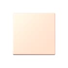 Jung - LS RANGE Zender/AB v draadloos schakelsyst. enocean wand 2kan lc32091