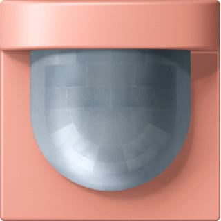 Jung - LS RANGE Bewegingssensor-element senafd 2,20m stan lc32102