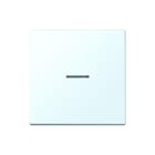 Jung - LS RANGE Intelligent bedieningselement home stuurafd 1v lc32024
