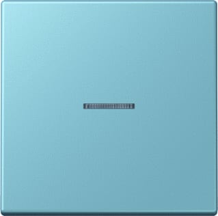 Jung - LS RANGE Intelligent bedieningselement home stuurafd 1v lc32033