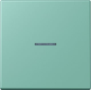 Jung - LS RANGE Intelligent bedieningselement home stuurafd 1v lc32041