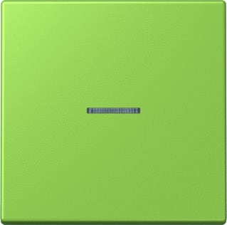 Jung - LS RANGE Intelligent bedieningselement home stuurafd 1v lc32052