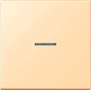 Jung - LS RANGE Intelligent bedieningselement home stuurafd 1v lc32060