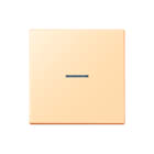 Jung - LS RANGE Intelligent bedieningselement home stuurafd 1v lc32060
