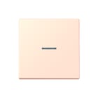 Jung - LS RANGE Intelligent bedieningselement home stuurafd 1v lc32082