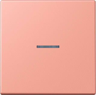 Jung - LS RANGE Intelligent bedieningselement home stuurafd 1v lc32102