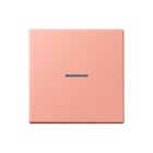 Jung - LS RANGE Intelligent bedieningselement home stuurafd 1v lc32102