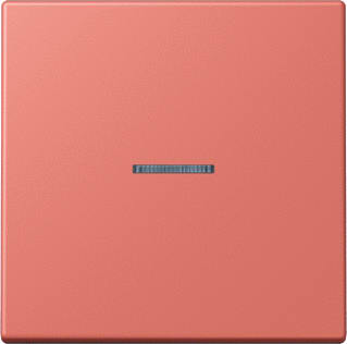 Jung - LS RANGE Intelligent bedieningselement home stuurafd 1v lc32111