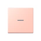 Jung - LS RANGE Intelligent bedieningselement home stuurafd 1v lc32112