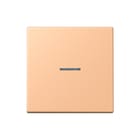 Jung - LS RANGE Intelligent bedieningselement home stuurafd 1v lc32122