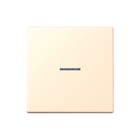 Jung - LS RANGE Intelligent bedieningselement home stuurafd 1v lc32123