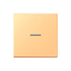 Jung - LS RANGE Intelligent bedieningselement home stuurafd 1v lc4320p