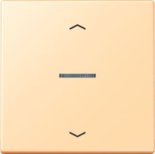 Jung - LS RANGE Intelligent bedieningselement home stafd 1v pl lc32060