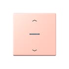 Jung - LS RANGE Intelligent bedieningselement home stafd 1v pl lc32112