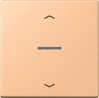 Jung - LS RANGE Intelligent bedieningselement home stafd 1v pl lc32122