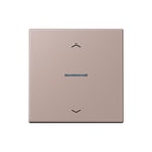Jung - LS RANGE Intelligent bedieningselement home stafd 1v pl lc32131