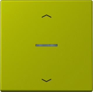 Jung - LS RANGE Intelligent bedieningselement home stafd 1v pl lc4320f