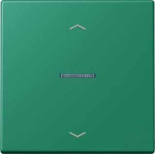 Jung - LS RANGE Intelligent bedieningselement home stafd 1v pl lc4320g