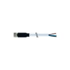 MURR - Sensor/actorkabel met connector m8 fem 4x0,34 gr 30m