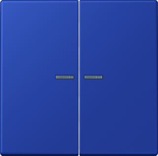 Jung - LS RANGE Intelligent bedieningselement home stuurafd 2v lc32020