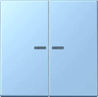Jung - LS RANGE Intelligent bedieningselement home stuurafd 2v lc32022