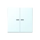 Jung - LS RANGE Intelligent bedieningselement home stuurafd 2v lc32024