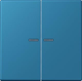 Jung - LS RANGE Intelligent bedieningselement home stuurafd 2v lc32031
