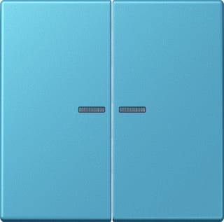 Jung - LS RANGE Intelligent bedieningselement home stuurafd 2v lc32032