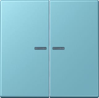 Jung - LS RANGE Intelligent bedieningselement home stuurafd 2v lc32033