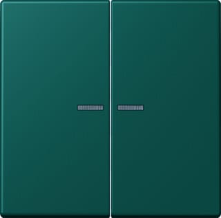 Jung - LS RANGE Intelligent bedieningselement home stuurafd 2v lc32040