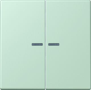 Jung - LS RANGE Intelligent bedieningselement home stuurafd 2v lc32042
