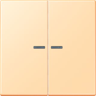 Jung - LS RANGE Intelligent bedieningselement home stuurafd 2v lc32060