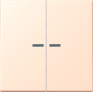 Jung - LS RANGE Intelligent bedieningselement home stuurafd 2v lc32091
