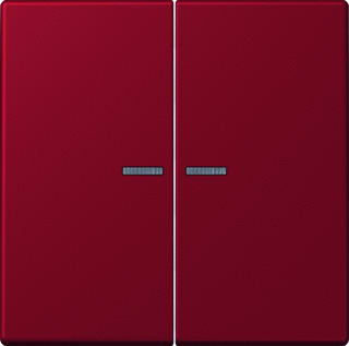 Jung - LS RANGE Intelligent bedieningselement home stuurafd 2v lc32100