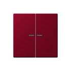 Jung - LS RANGE Intelligent bedieningselement home stuurafd 2v lc32100