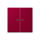 Jung - LS RANGE Intelligent bedieningselement home stuurafd 2v lc32101