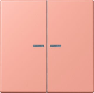 Jung - LS RANGE Intelligent bedieningselement home stuurafd 2v lc32102