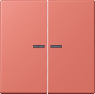 Jung - LS RANGE Intelligent bedieningselement home stuurafd 2v lc32111
